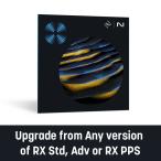 iZotope/RX 11 Standard: Upgrade from any previous version of RX Std, Adv, or RX PPS【オンライン納品】【〜06/13 期間限定特価キャンペーン】