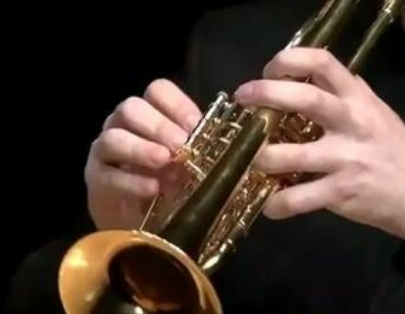 二手Selmer小号日淘好价入手,乐器爱好者必看!