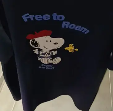 二手正版唐狮史努比联名t恤日淘代购,get同款!