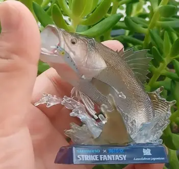 二手禧玛诺路亚饵哪里买的便宜?禧玛诺路亚饵日淘代购!