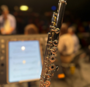 二手乐器日淘必逛雅虎拍卖网站,乐器爱好者必看!