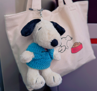 史努比周边挂件正规日淘网站推荐,可爱挂件日淘入手!