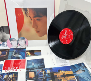 正版热门音乐黑胶唱片日淘代购网站推荐,音乐爱好者必看!