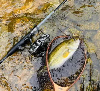 二手垂钓装备日淘代拍网站推荐,钓鱼爱好者必看!