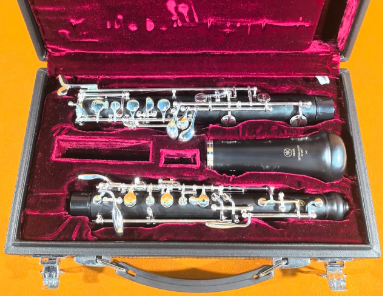 哪个网站淘二手品牌乐器便宜?轻松日淘代拍二手乐器网站推荐!