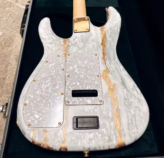 二手品牌电吉他哪里淘靠谱?推荐雅虎代拍日淘正规必逛网站!