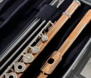 宝藏二手品牌乐器高性价比之选,千纸鹤日淘开启音乐新旅程!