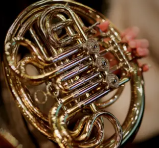 热门品牌二手乐器一键日淘代拍入手,正品保障日淘捡漏!