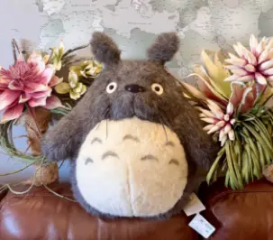 轻松日淘龙猫周边单品,专业日淘代拍周边网站渠道!