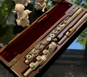 宝藏日淘代购二手乐器日淘网站指南,轻松日淘日本品牌乐器单品!