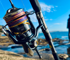 日本乐天代购品牌渔具装备攻略,钓鱼爱好者户外垂钓必看!