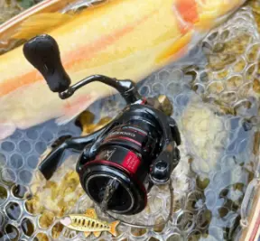 热门品牌二手渔轮日淘捡漏正规靠谱网站推荐,新手海钓必看!