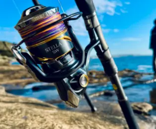 实用二手渔轮日淘型号选购攻略,轻松日淘渔轮垂钓无忧!