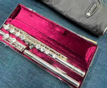 管乐器哪款更好入门?二手杰普特管乐器新手日淘代拍网站推荐!