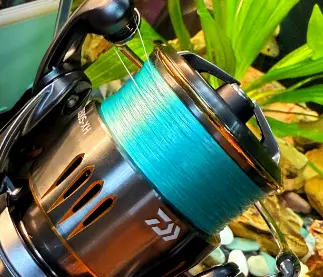 二手达亿瓦鱼线日淘靠谱网站推荐,新手淘好用垂钓鱼线单品!