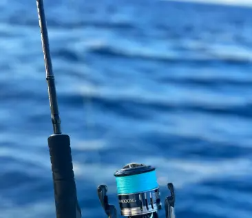 二手鲤鱼竿怎么选择?日淘代拍二手鲤鱼竿单品指南!