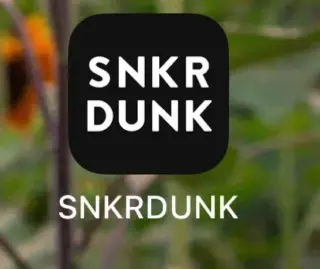 二手球鞋卡牌中古SNKRDUNK靠谱渠道,日本潮品交易站!