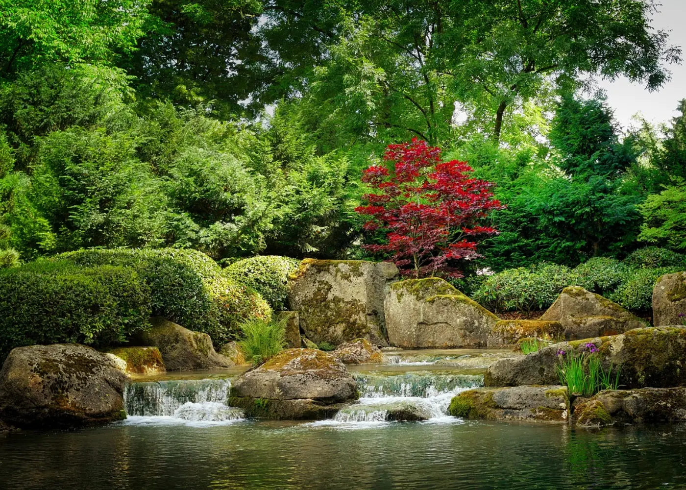 Historia y evolución de los jardines japoneses, image size:1400x1000