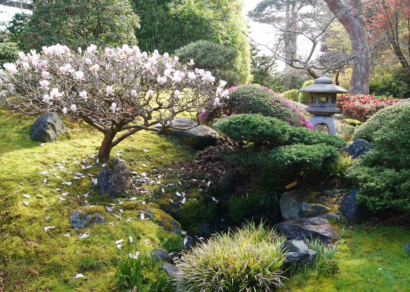 Historia y evolución de los jardines japoneses, image size:1400x1000